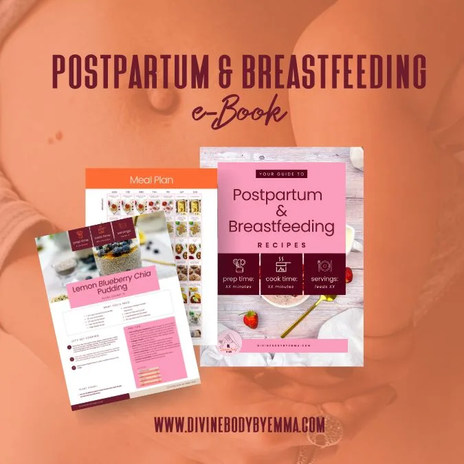 Postpartum & breastfeeding Recipes eBook